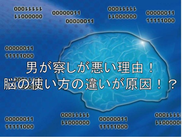 男女脳の違い 男は察しが悪いのは何故 その対処法は ロボパンビジネス情報部